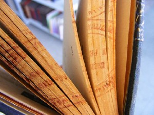 biblioteca 087 copy.jpg